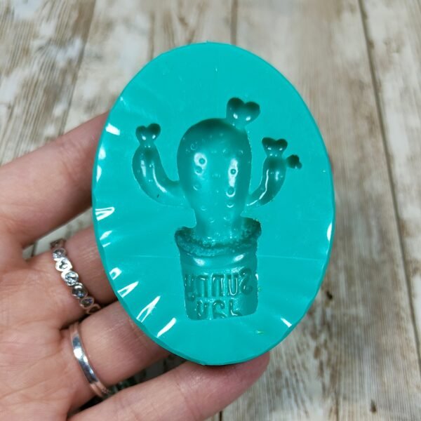 Stampo Cactus pianta grassa con frase in silicone 5cm per creazioni in resina, gesso, sapone, cera e paste polimeriche - immagine 6