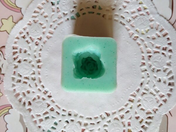 Stampo in silicone Pianta Grassa per creazioni in resina e fimo - immagine 2