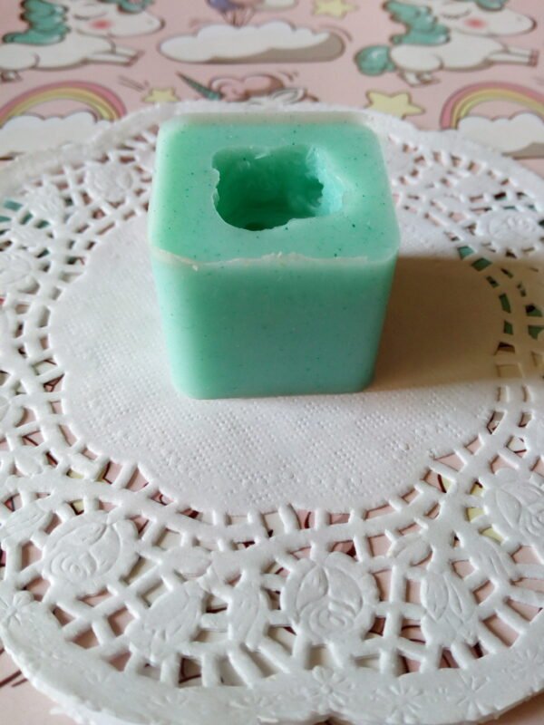 Stampo in silicone Pianta Grassa per creazioni in resina e fimo - immagine 4