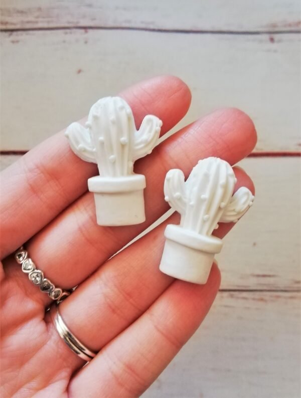 Stampo in silicone Cactus pianta grassa per creazioni in resina e fimo - immagine 8