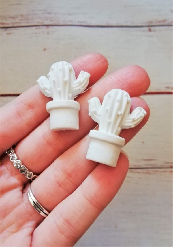 Stampo in silicone Cactus pianta grassa per creazioni in resina e fimo - immagine 9